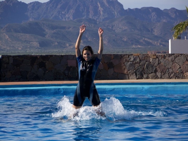 Push con delfines